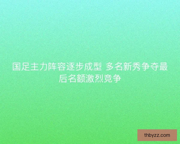 国足主力阵容逐步成型 多名新秀争夺最后名额激烈竞争