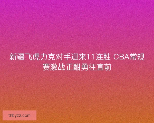 新疆飞虎力克对手迎来11连胜 CBA常规赛激战正酣勇往直前